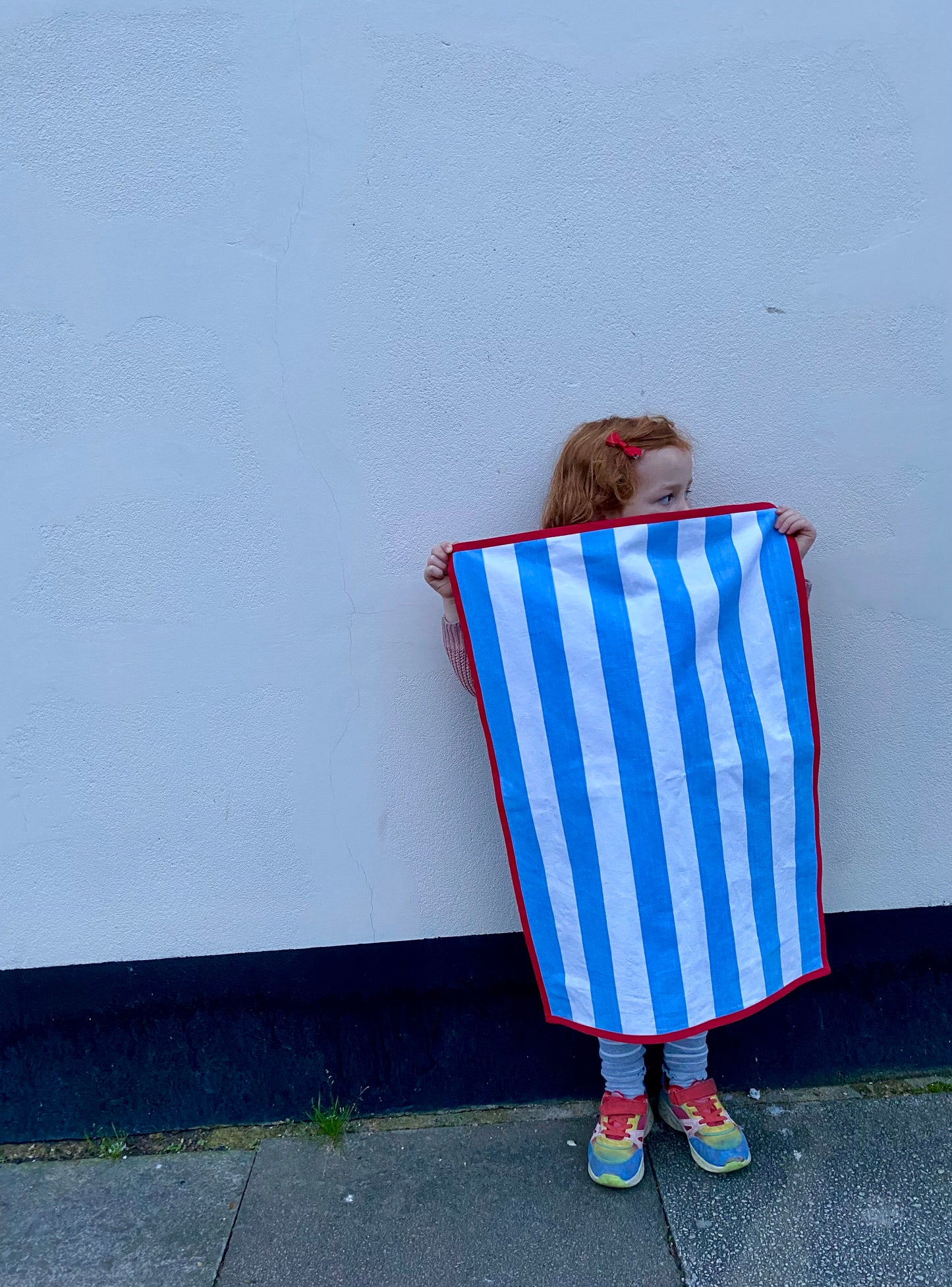 blue striped tea towel with red edging